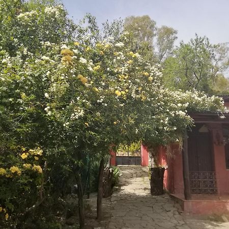 Eco Moyano Posada Gaucín Buitenkant foto