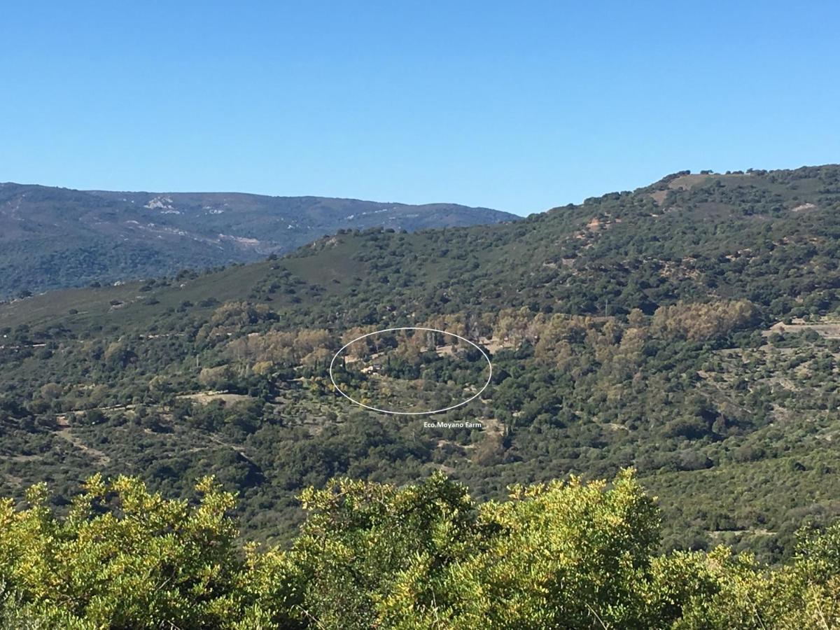 Eco Moyano Posada Gaucín Buitenkant foto