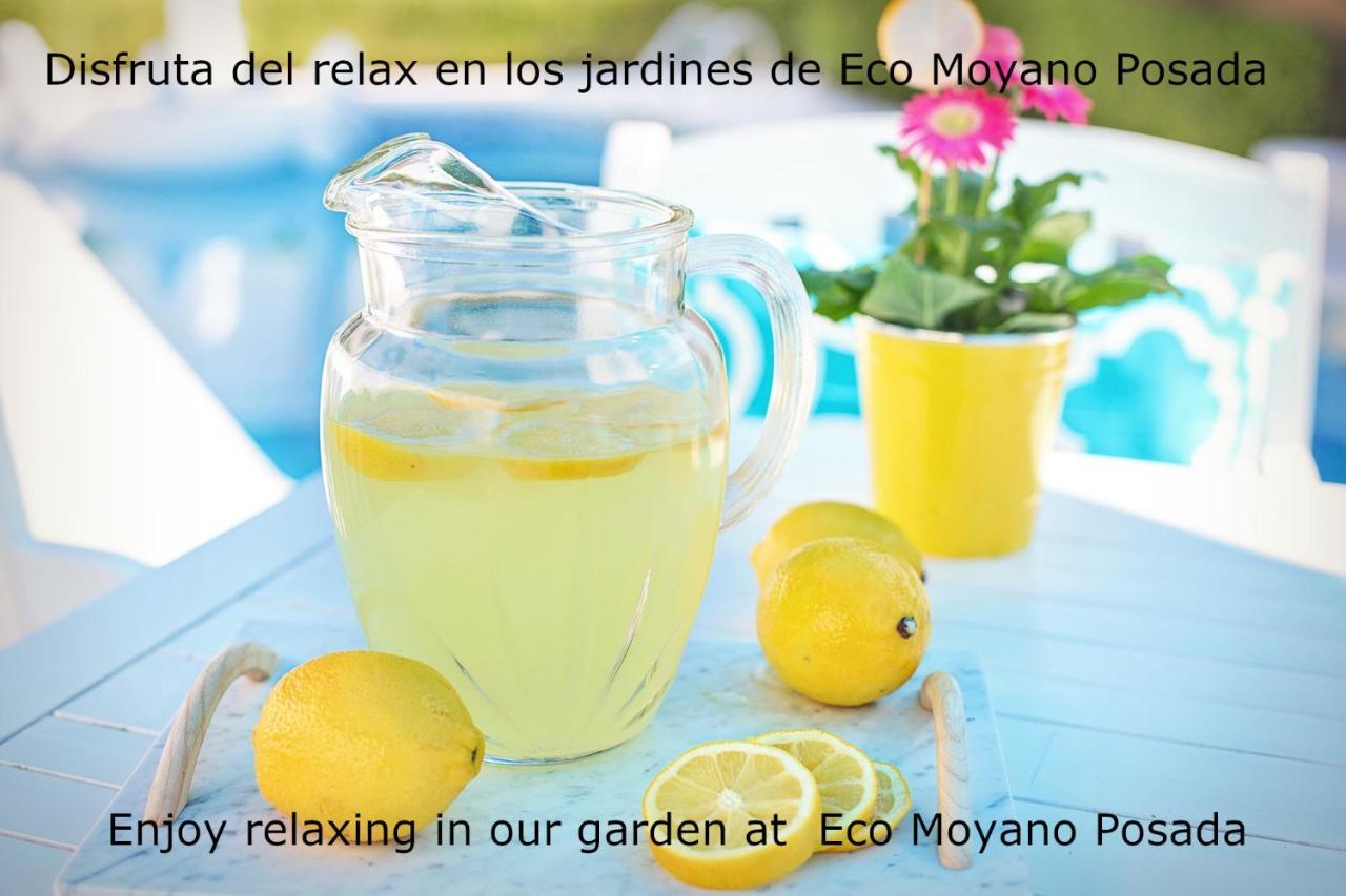 Eco Moyano Posada Gaucín Buitenkant foto