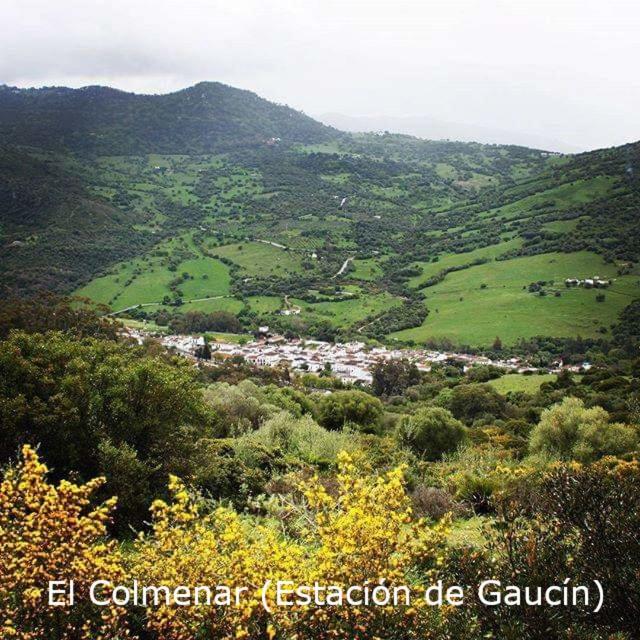 Eco Moyano Posada Gaucín Buitenkant foto