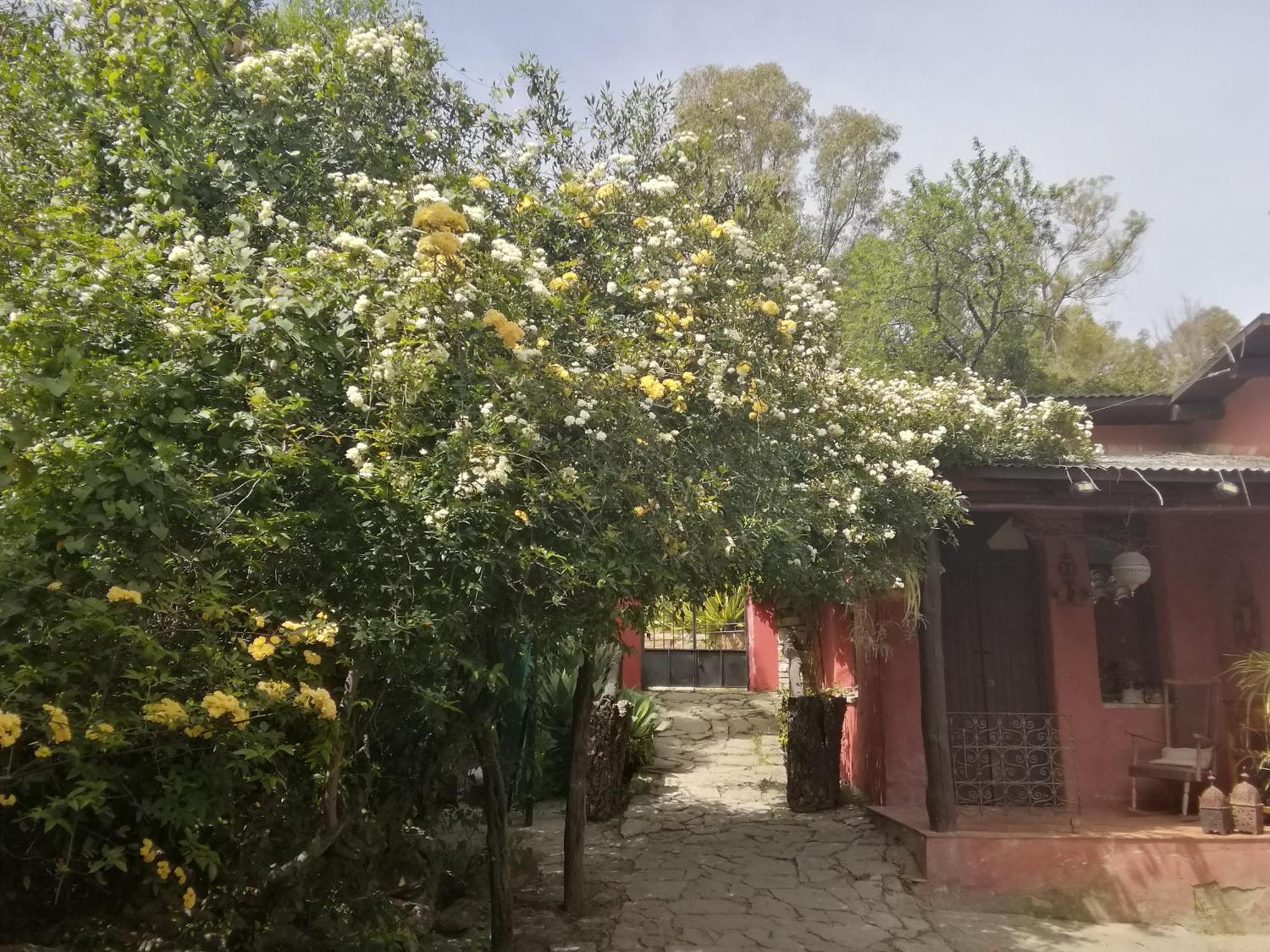 Eco Moyano Posada Gaucín Buitenkant foto