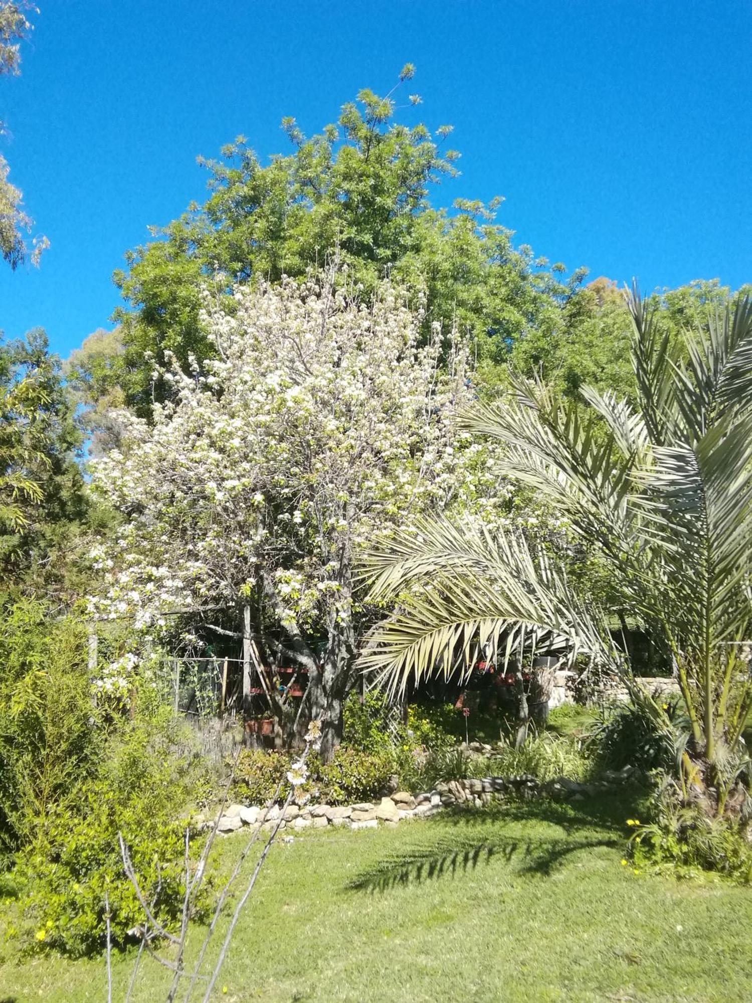 Eco Moyano Posada Gaucín Buitenkant foto