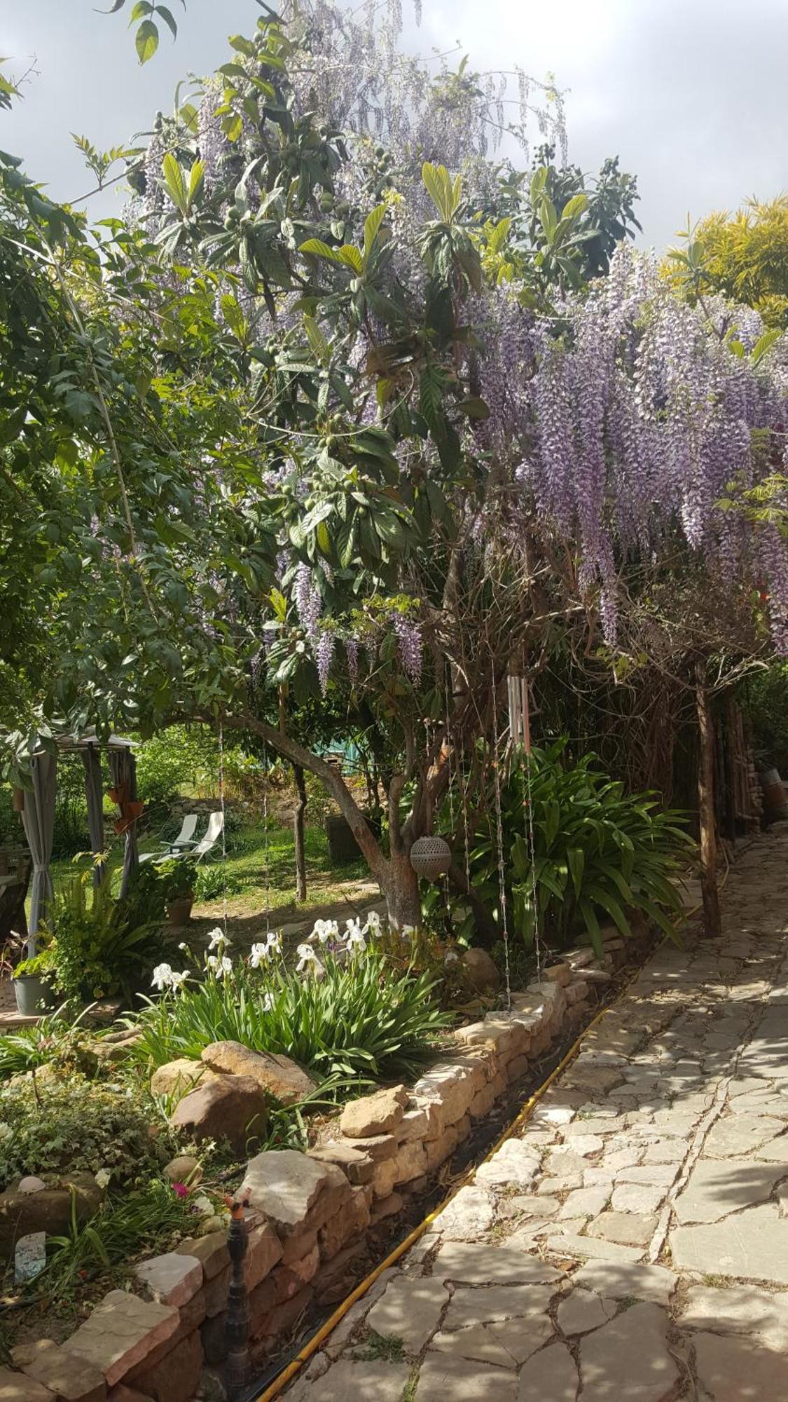 Eco Moyano Posada Gaucín Buitenkant foto